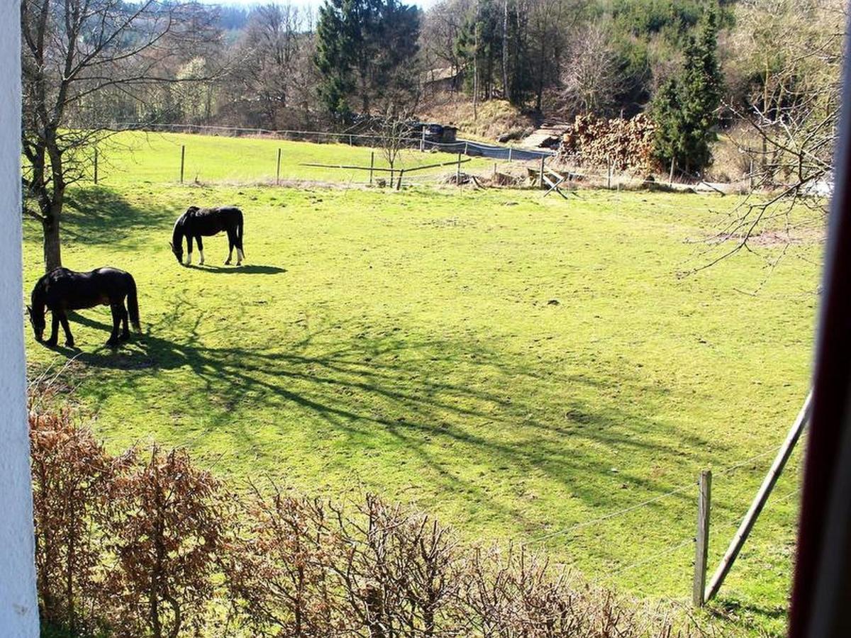 Ferienwohnung Peitz Eslohe Exteriér fotografie