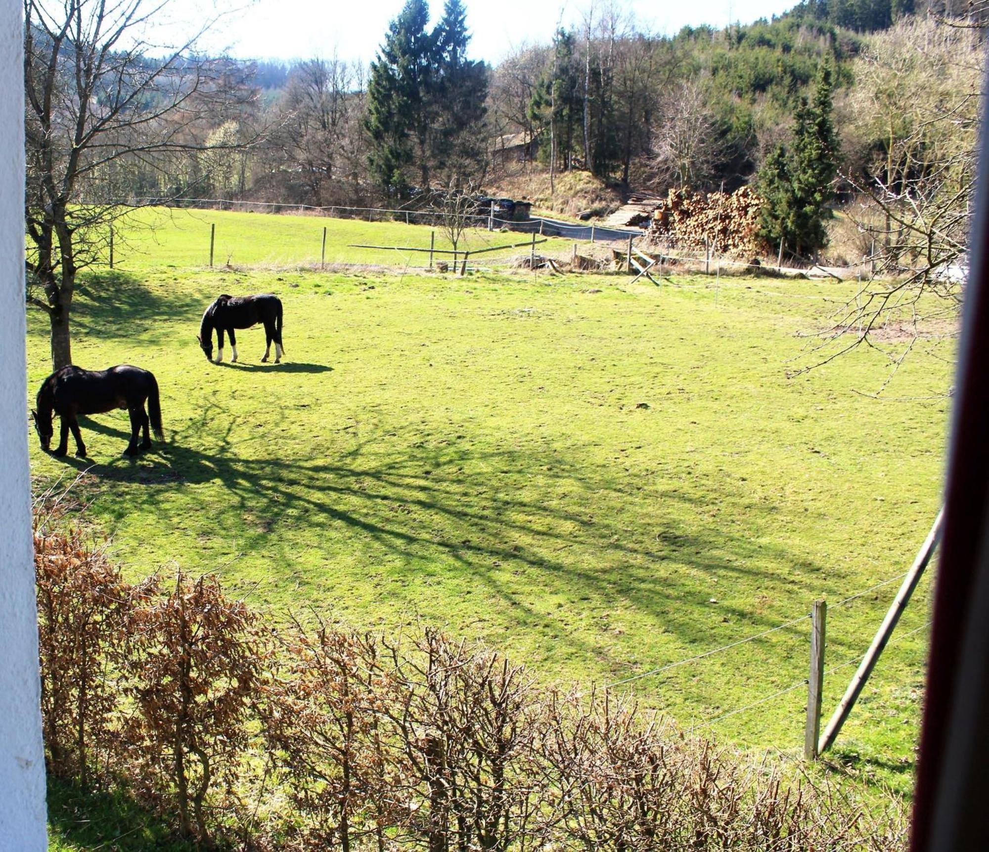Ferienwohnung Peitz Eslohe Exteriér fotografie