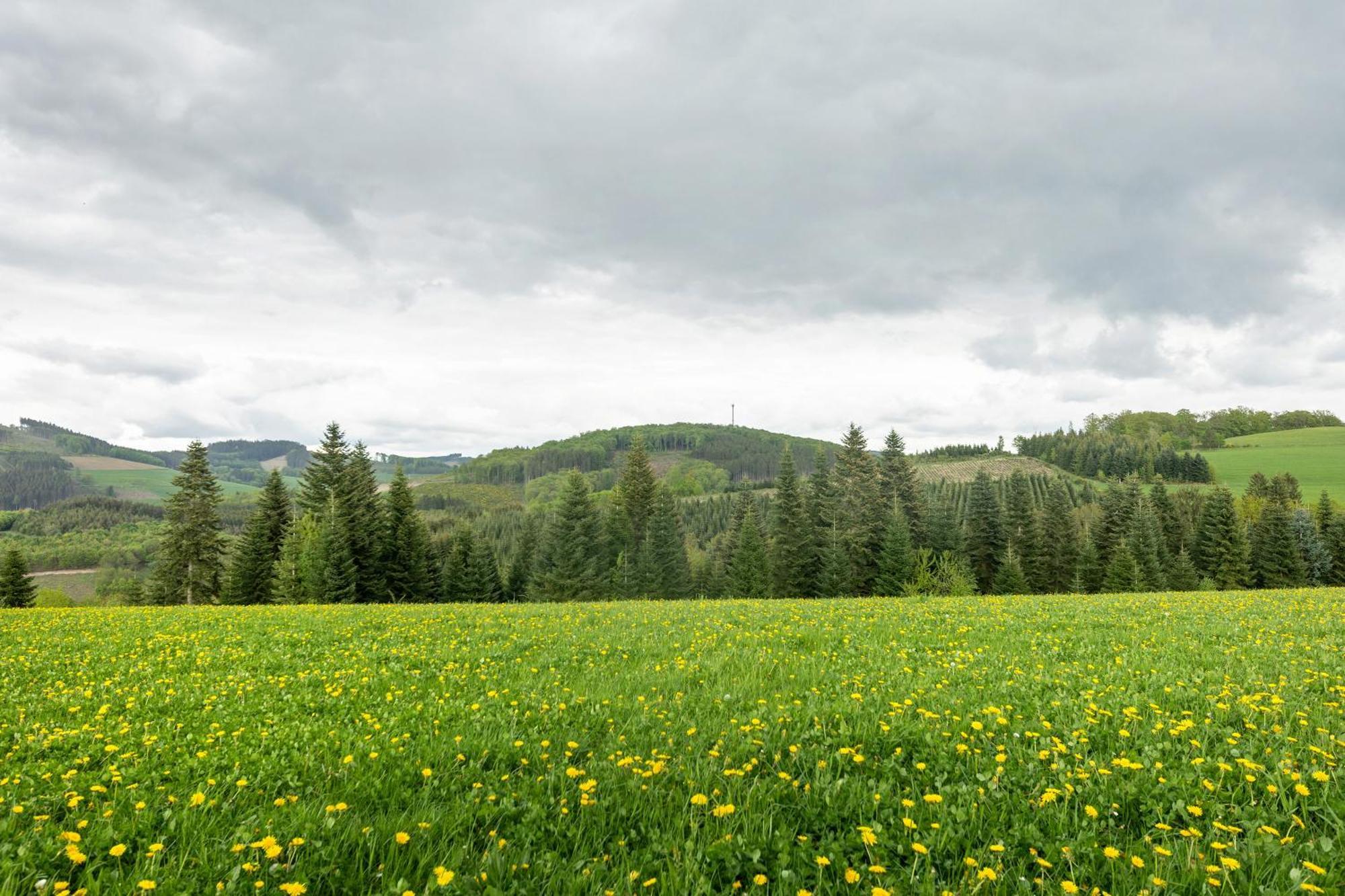 Ferienwohnung Peitz Eslohe Exteriér fotografie