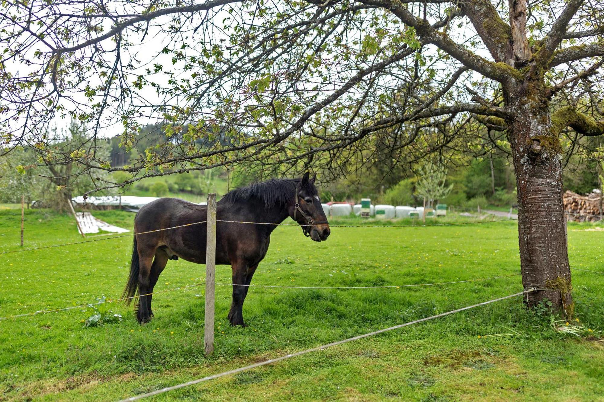 Ferienwohnung Peitz Eslohe Exteriér fotografie